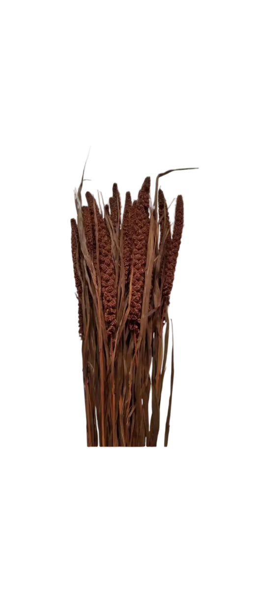 spray millet - 4 oz - mahogany