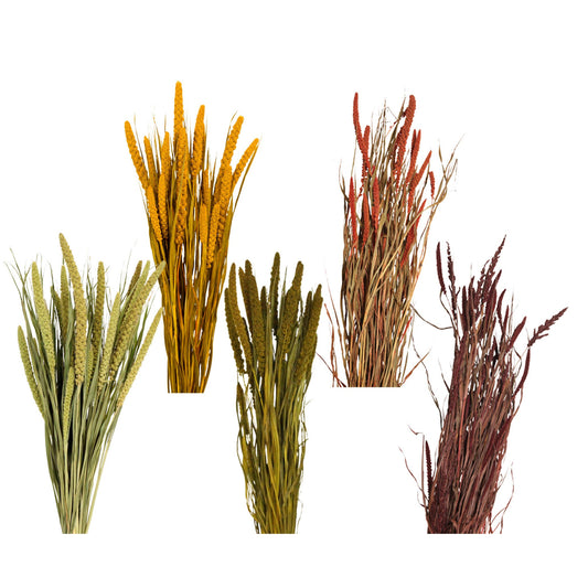 spray millet - 4 oz - assorted case