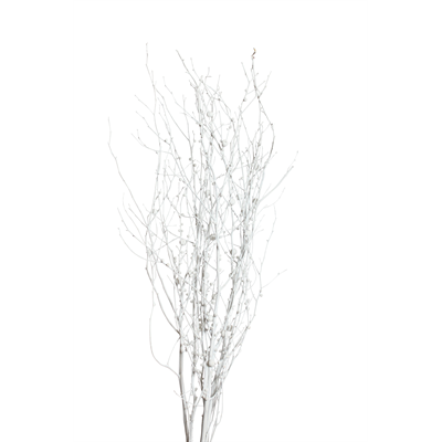 berried branches - white with white berries