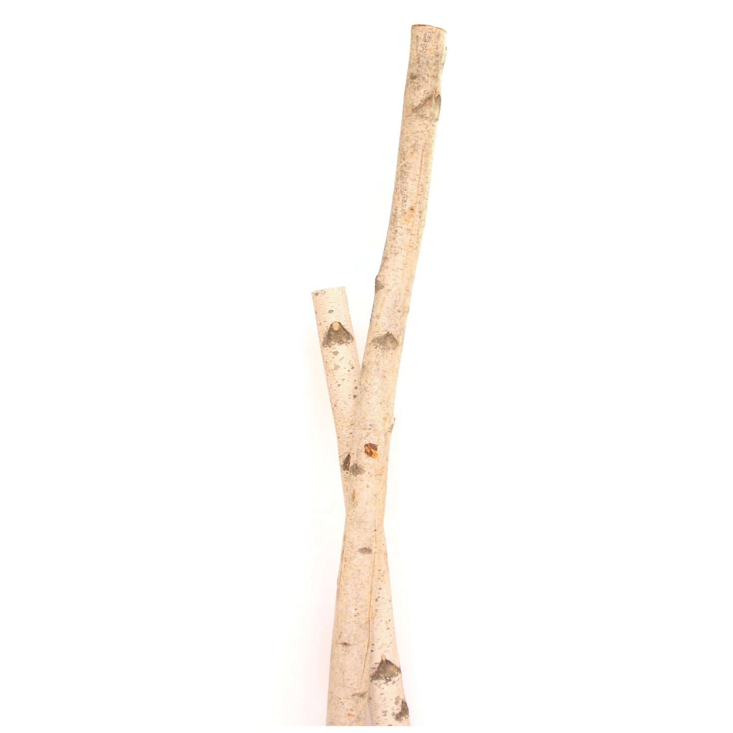 birch poles - 4ft - natural
