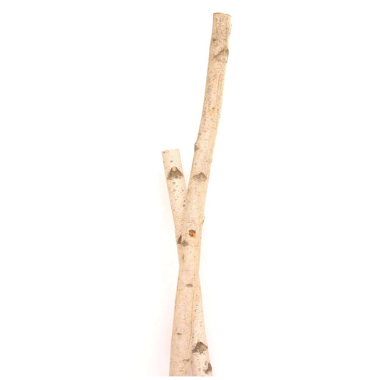 birch poles - 4ft - natural