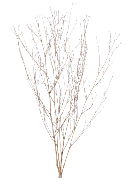 bamboo branches - white paint