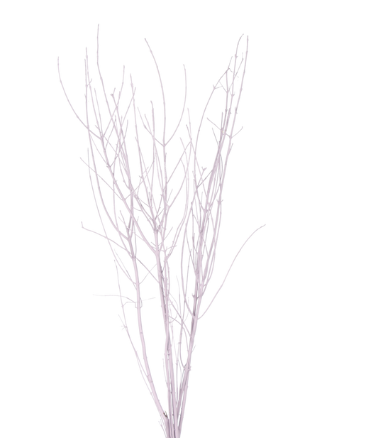bamboo branches - lavender paint