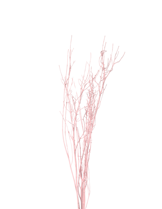 bamboo branches - pink paint