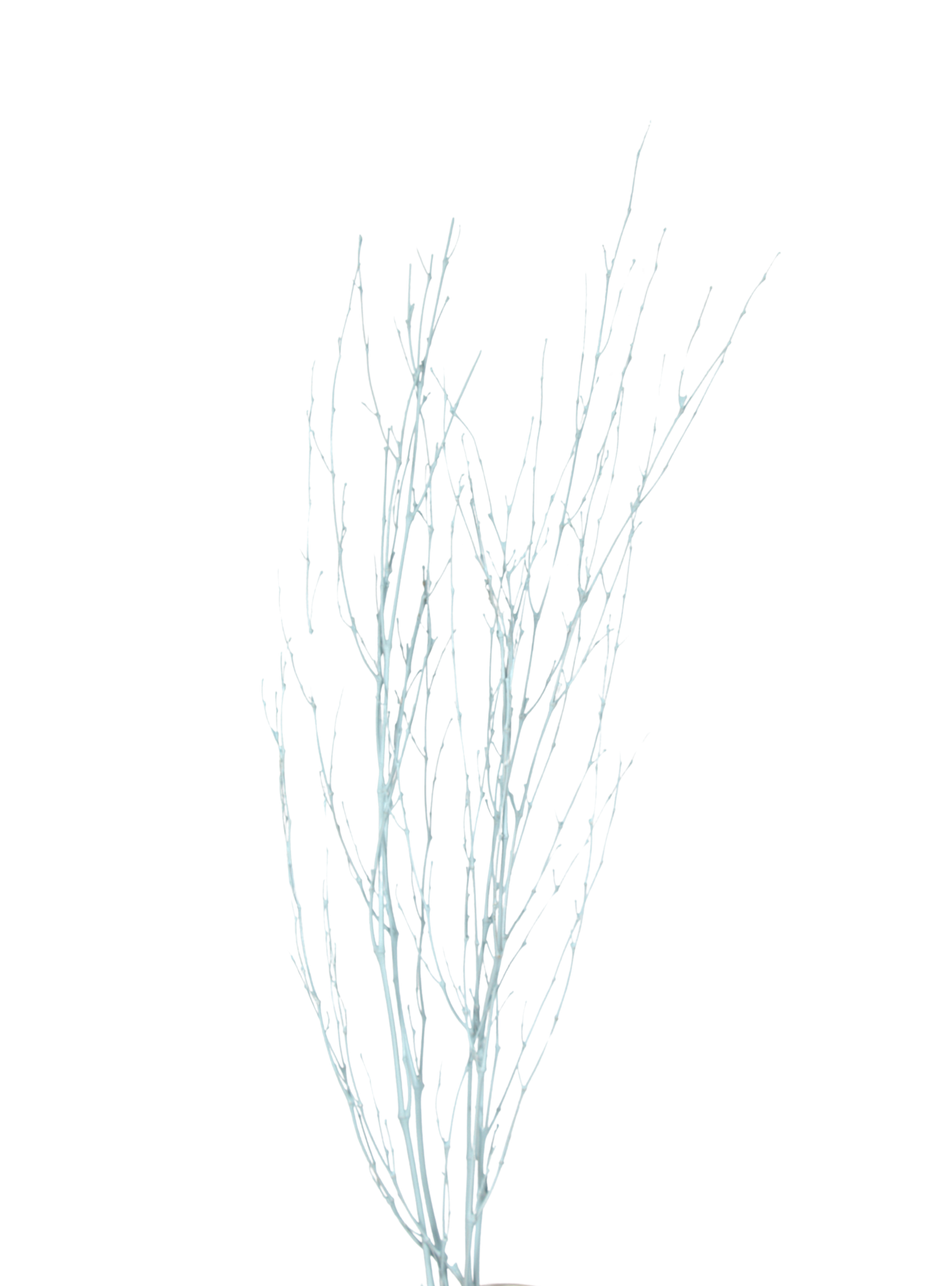 bamboo branches - blue paint