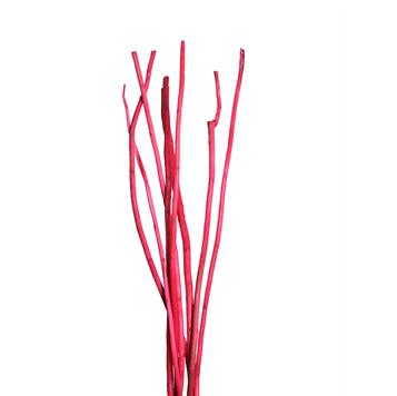 mitsui stick (8 stem) red
