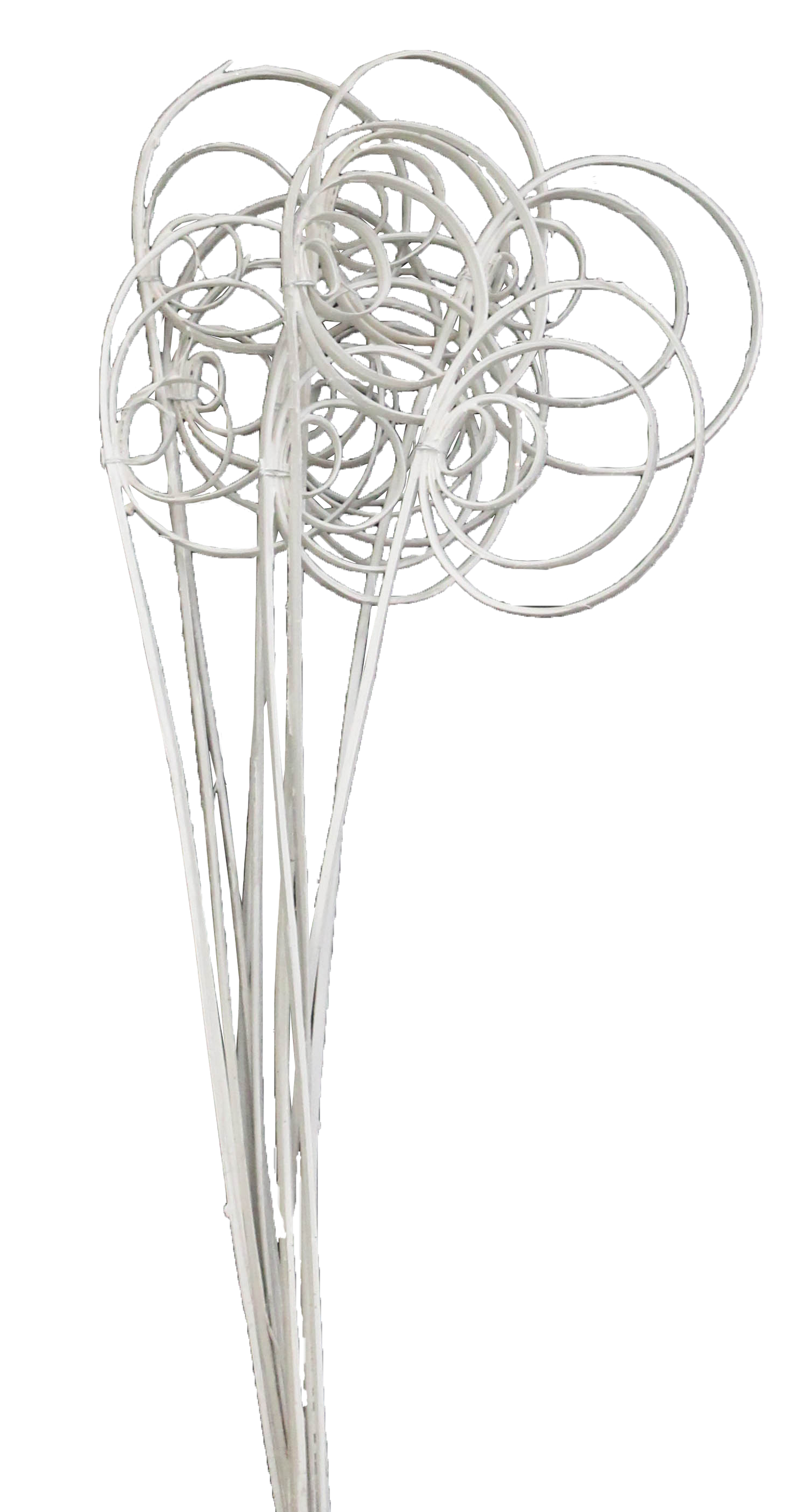 cane circles (10 stem) white paint