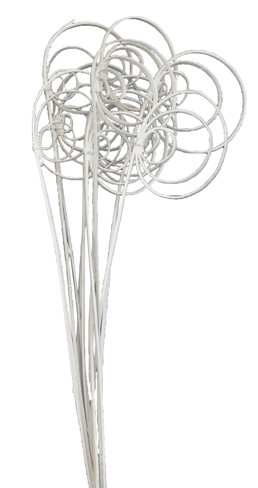 cane circles (10 stem) white paint