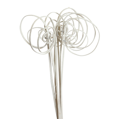 cane circles - 10 stem - white glitter