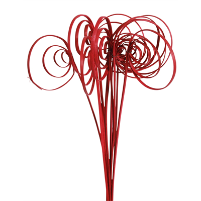 cane circles (10 stem) red