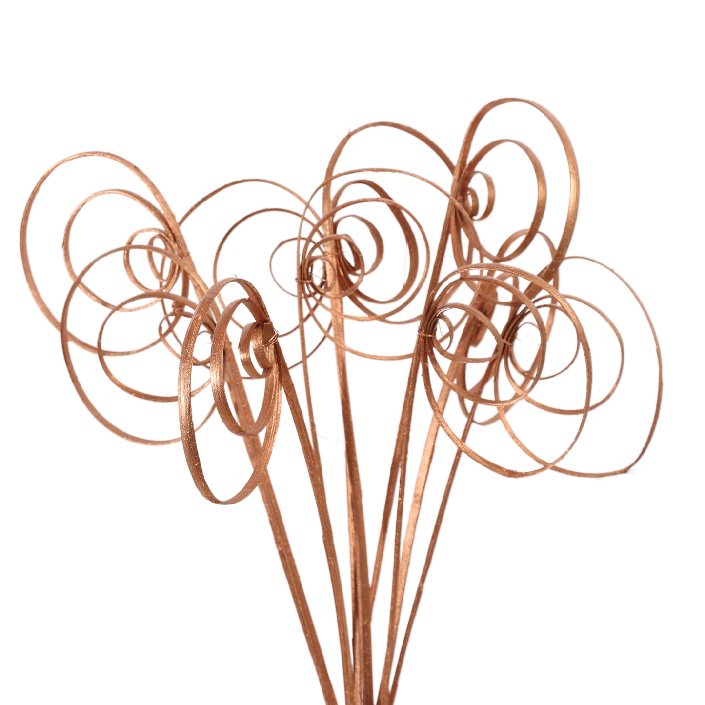 cane circles (10 stem) copper metallic