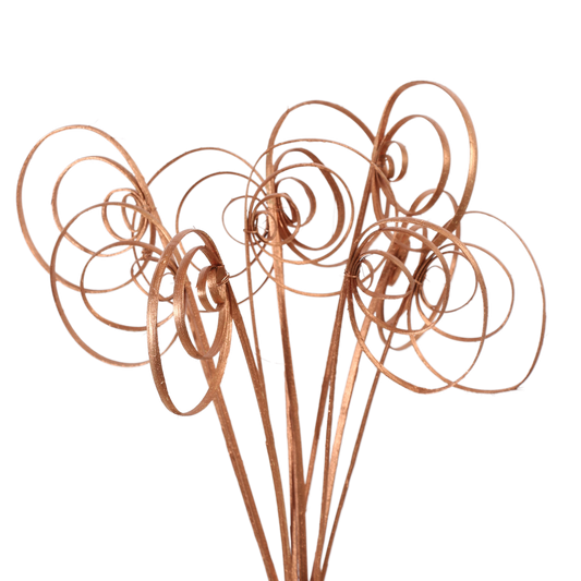 cane circles (10 stem) copper metallic