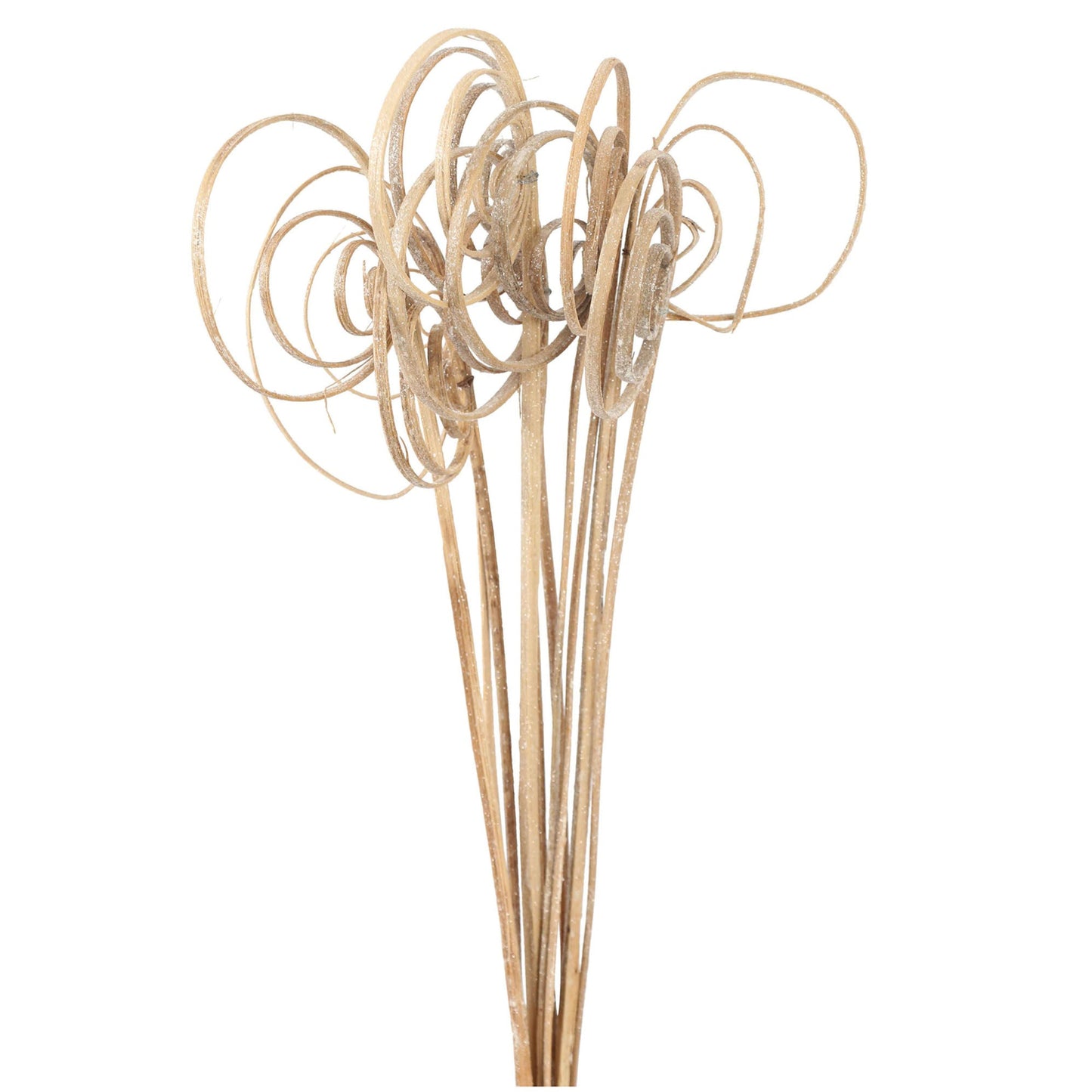 cane circles - frosted - bulk - 300/case