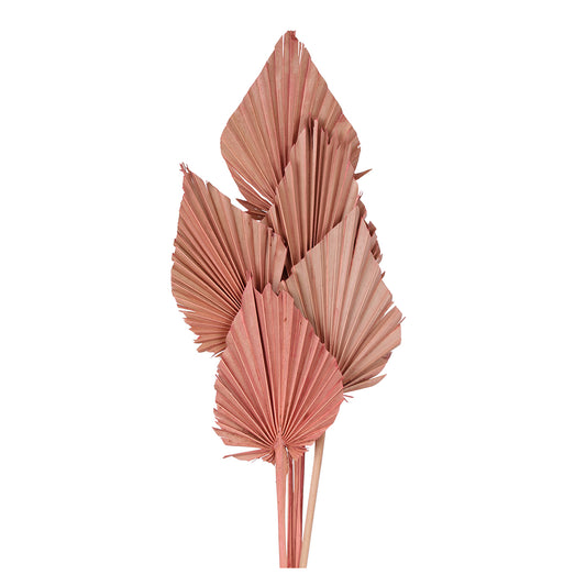 palm spear - rose pink