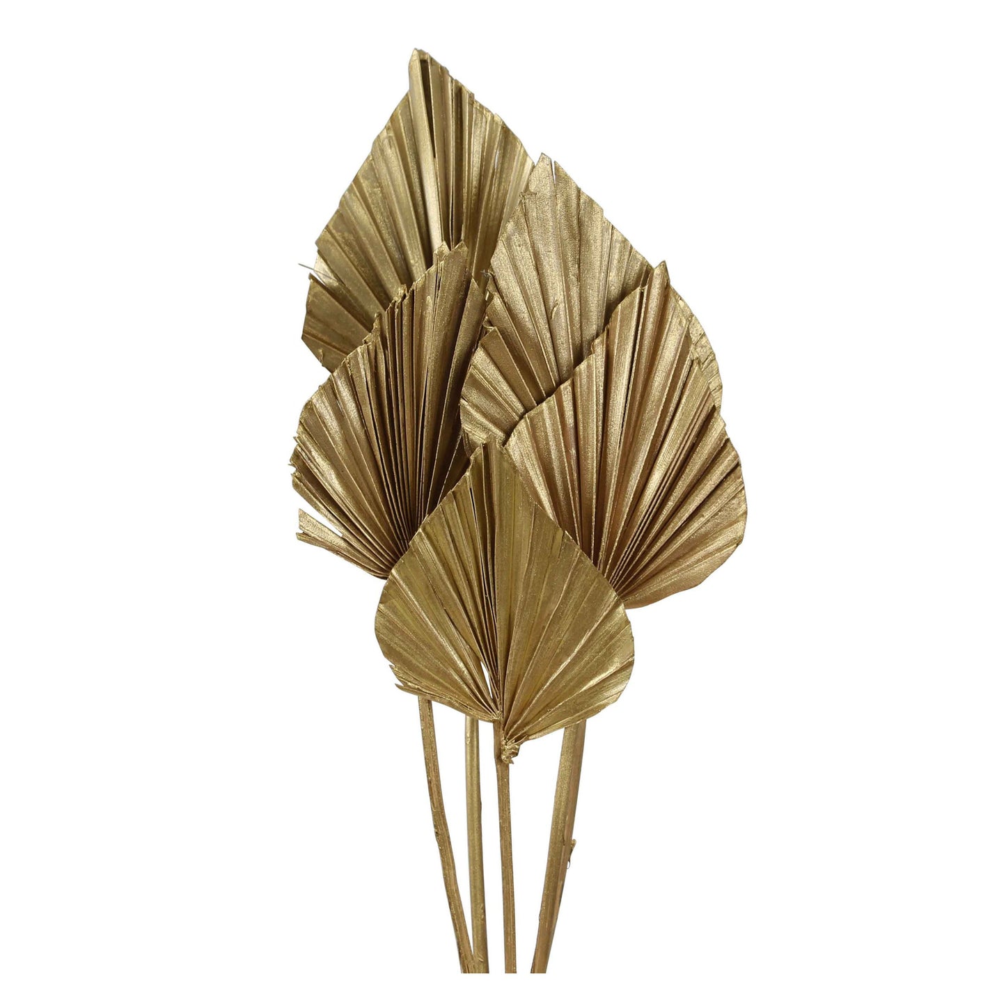 palm spear - gold metallic - 5 stem