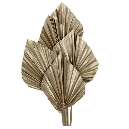 palm spear - champagne metallic - 5 stem