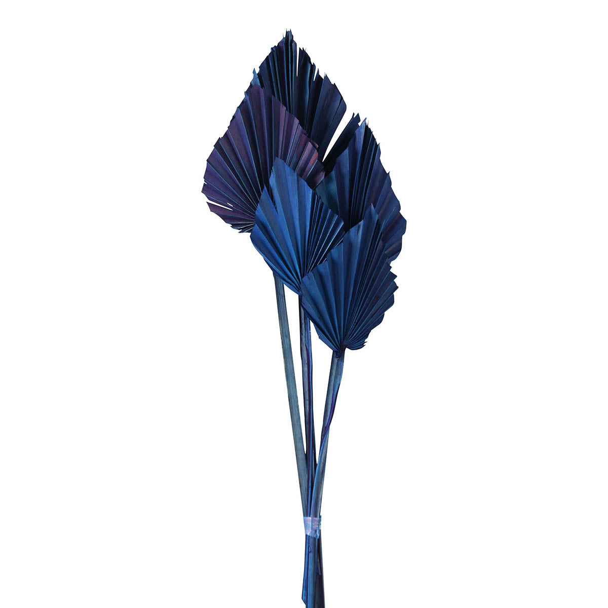 palm spear -  dark blue - 5 stem