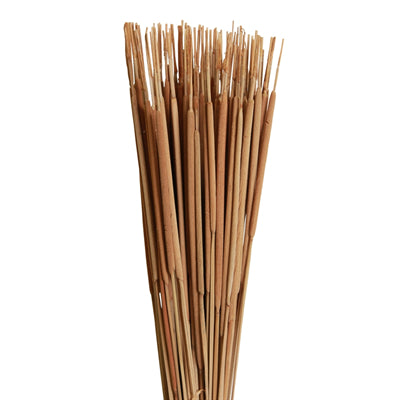 cattails pencil - natural - bulk - 1500/case