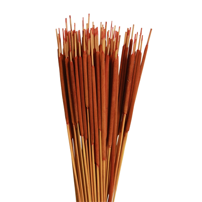 cattails pencil - 100 pcs - orange