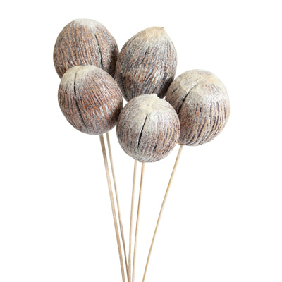 mintola balls stem - frosted glitter - bulk - 125/case