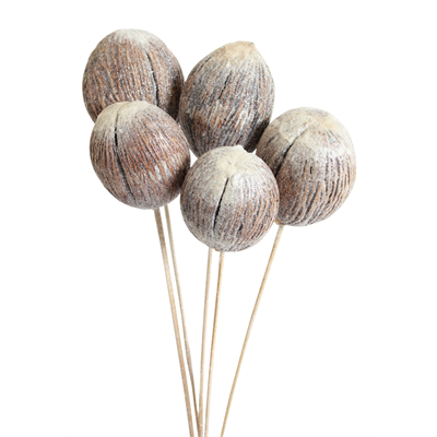 mintola balls - 6 stem - frosted glitter