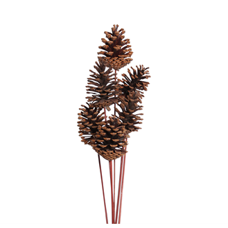 pine cones medium - 8 stem - natural