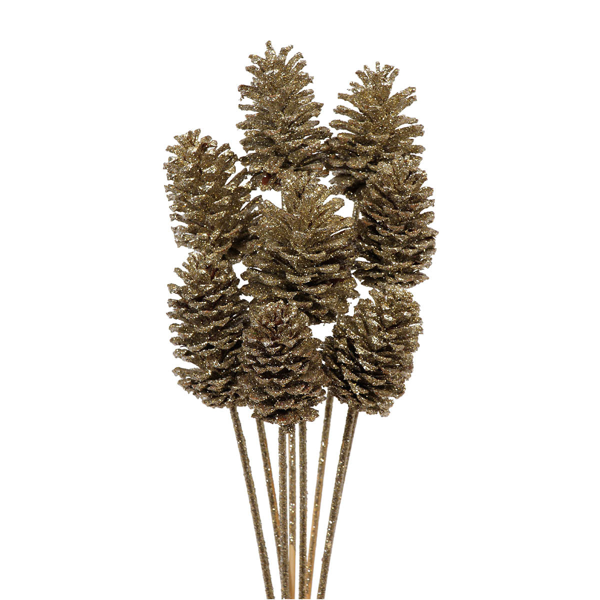 pine cones medium 7-10cm - stem - champagne glitter - bulk - 150/case