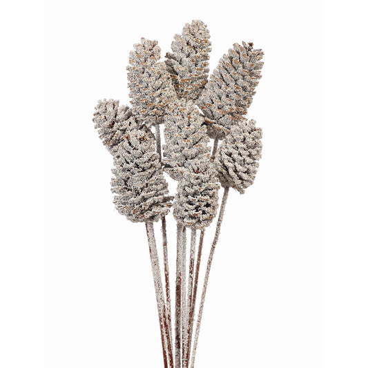 pine cones medium 7-10cm - stem - snow - bulk - 150/case