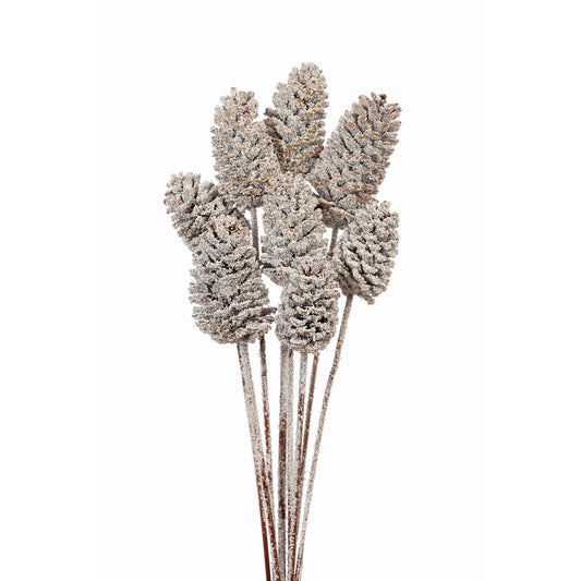 pine cones medium - 8 stem - snow