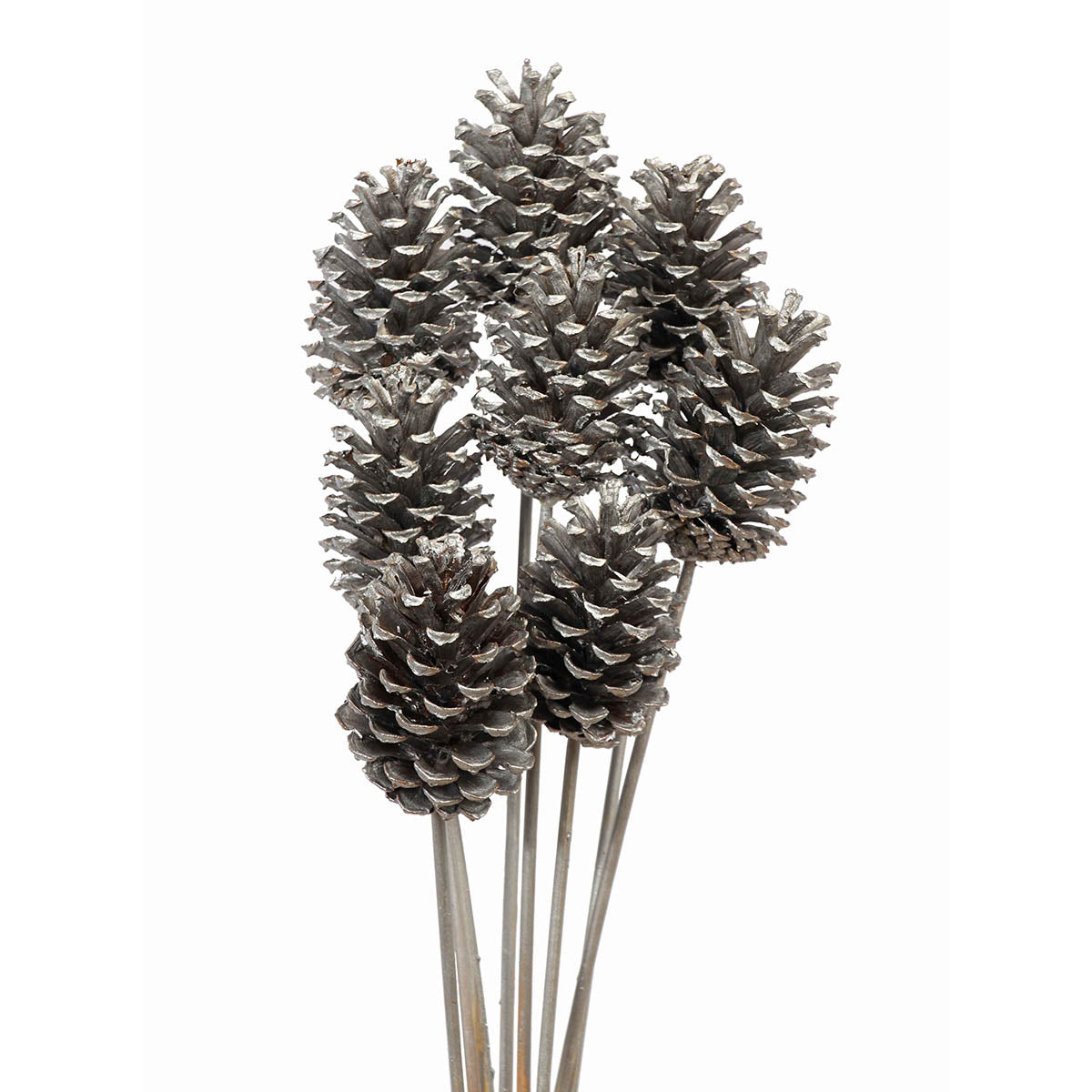 pine cones medium - 8 stem - silver metallic