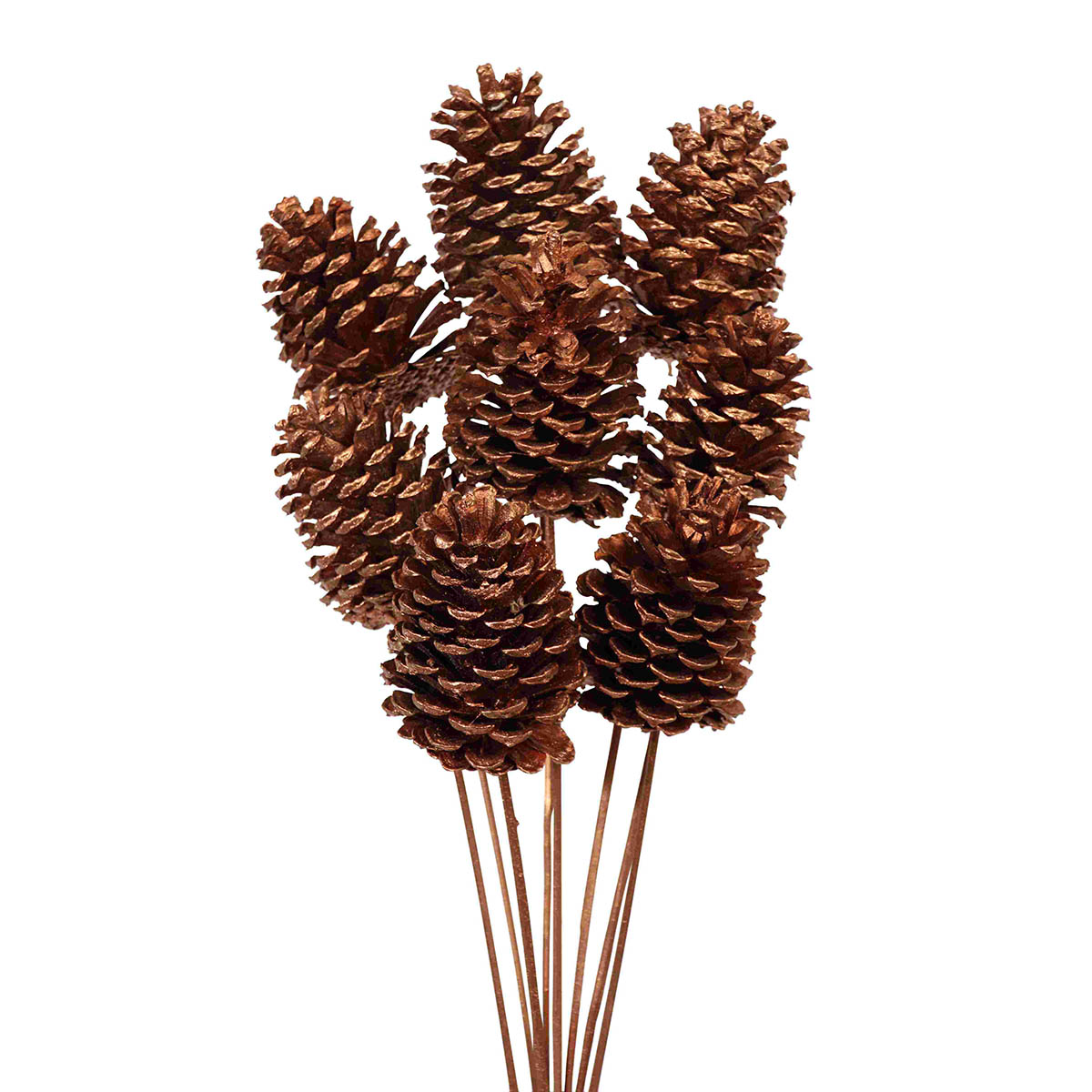 pine cones medium 7-10cm - stem - copper metallic - bulk - 150/case