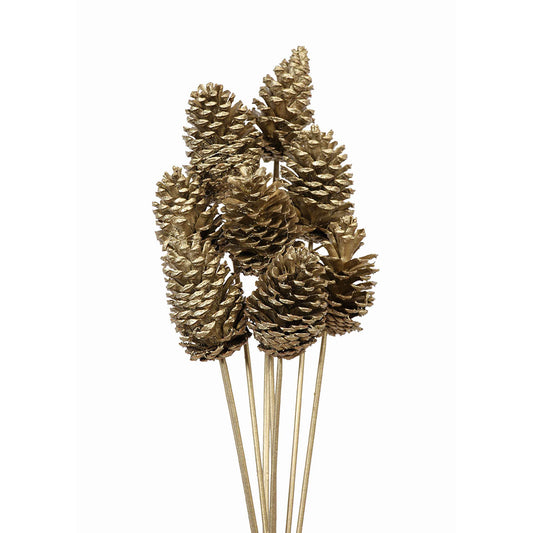 pine cones medium - 8 stem - champagne metallic