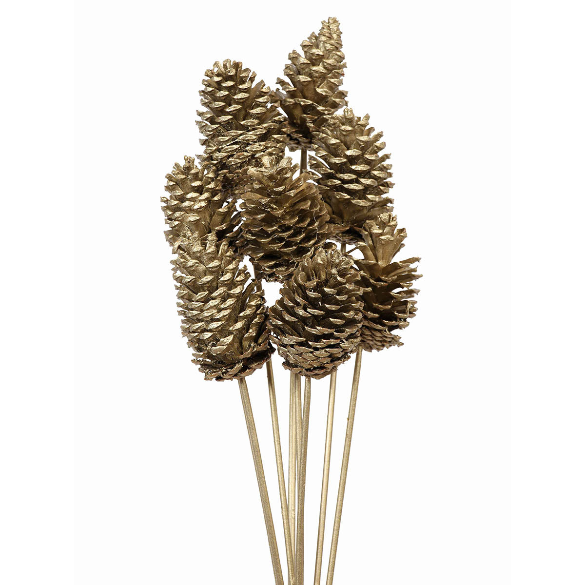 pine cones medium 7-10cm - stem - champagne metallic - bulk - 150/case