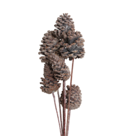 pine cones medium - 8 stem - frosted
