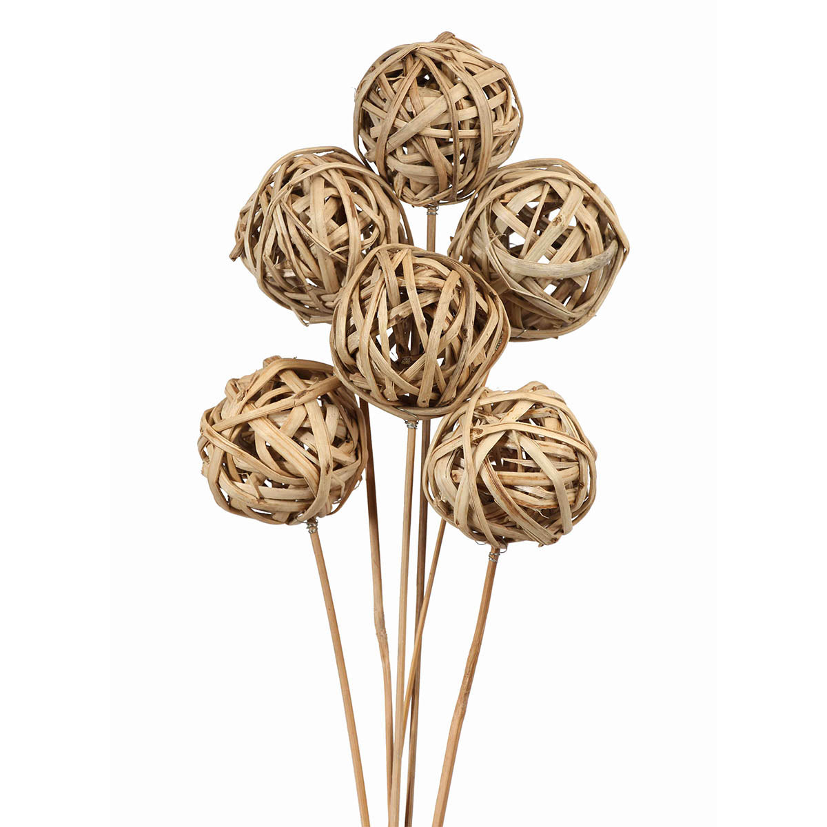kamboi balls 8 cm on stem - natural - bulk - 150/case