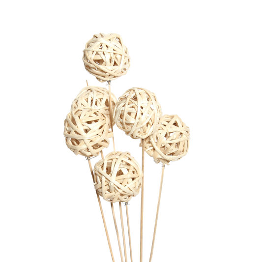 kamboi balls 8 cm (6 stem) natural
