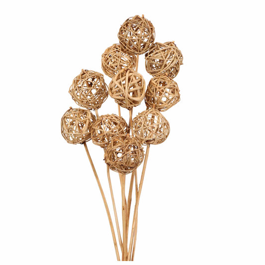kamboi balls 6cm (10 stem) natural