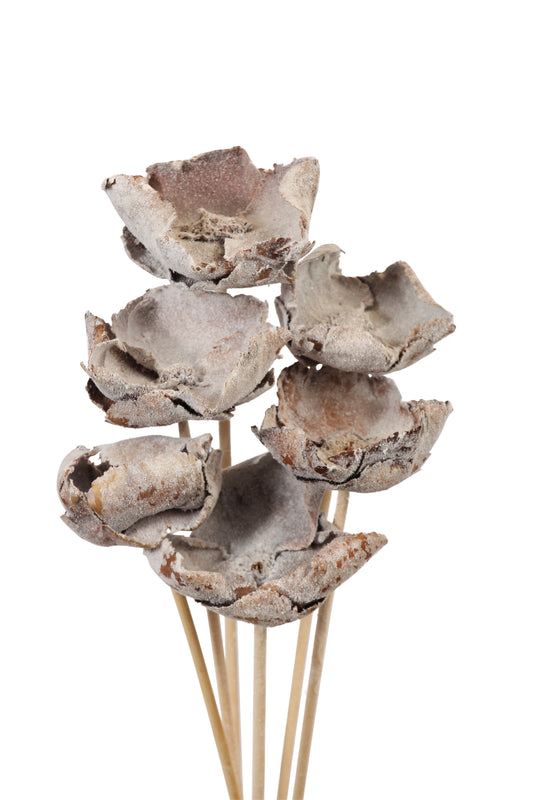 palm caps - stem - snow - bulk - 80/case