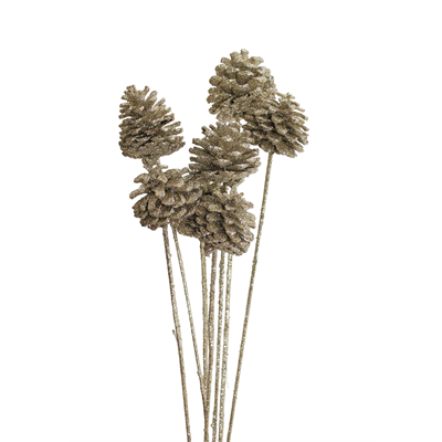 pine cones regular - 10 stem - champagne glitter