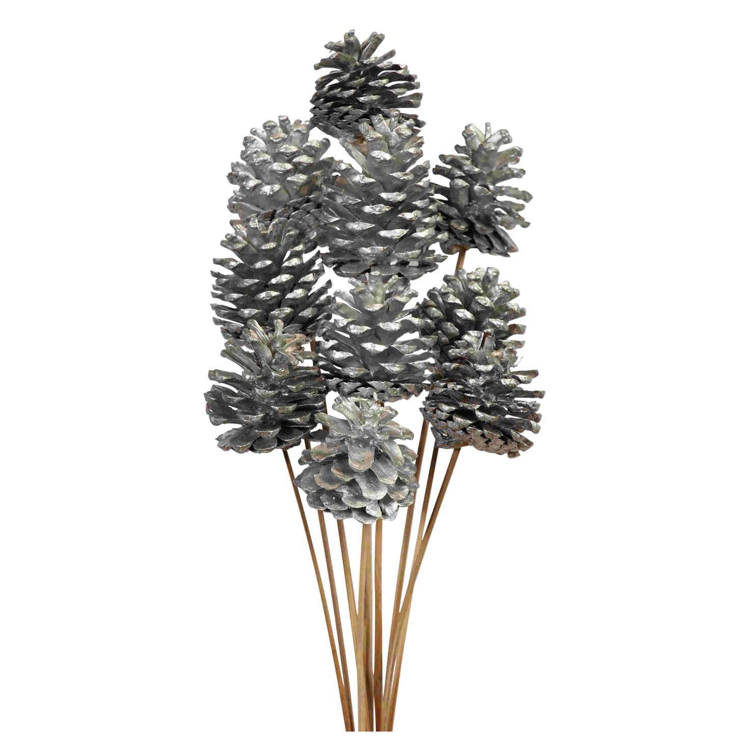 pine cones regular - 10 stem - silver metallic