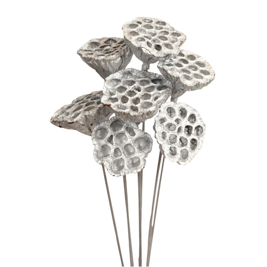 lotus pods - stem - silver metallic - bulk - 125/case