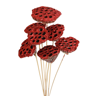lotus pods - 7 stem - red glitter