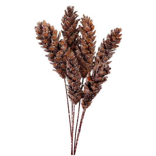 pine cones strobus (6 stem) snow