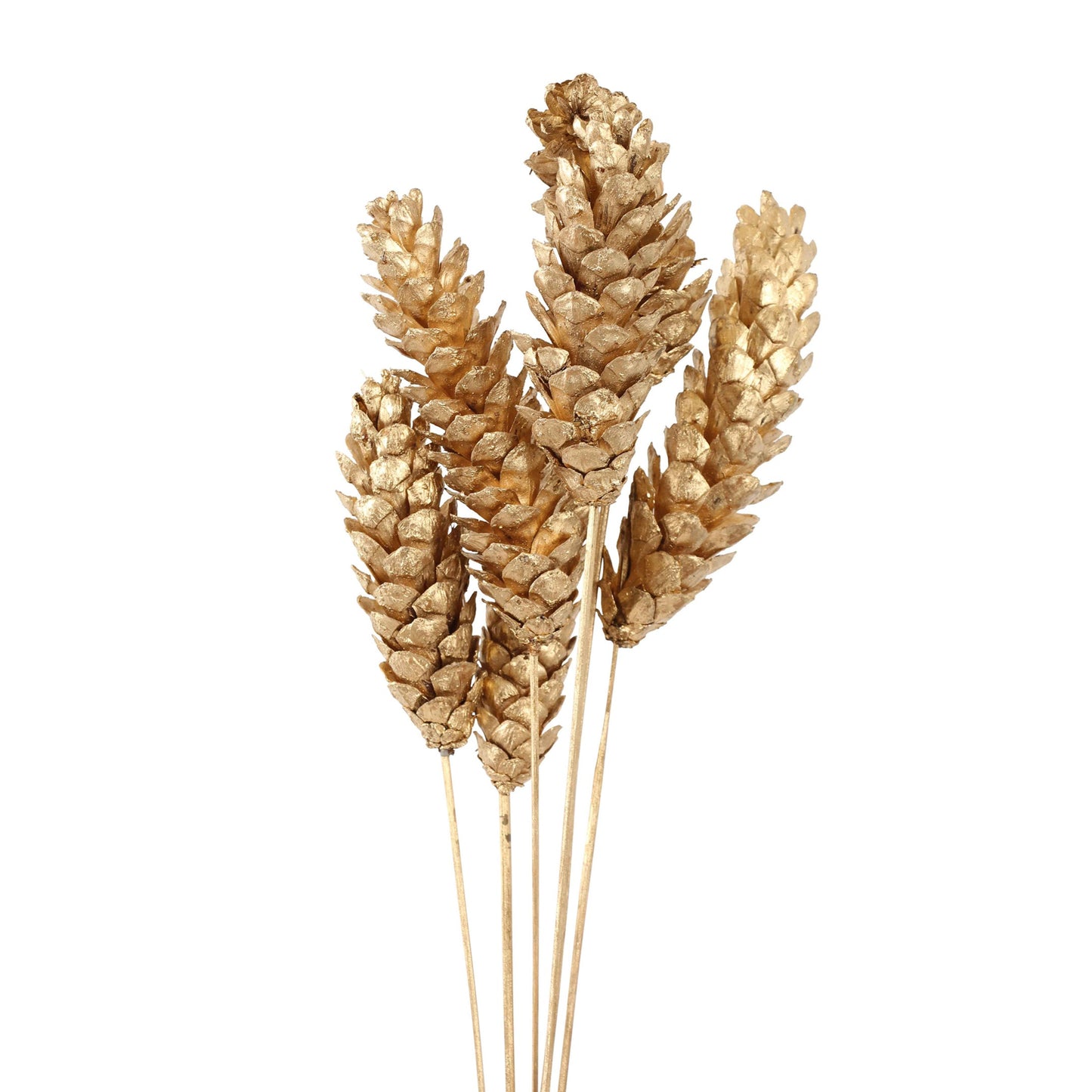 pine cones strobus - 6 stem - gold metallic