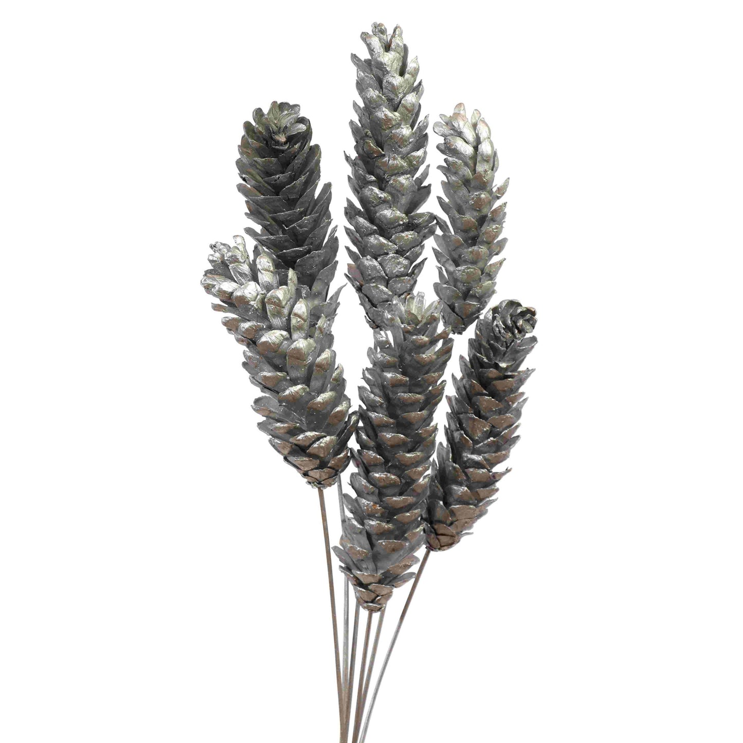 pine cones strobus - 6 stem - silver metallic