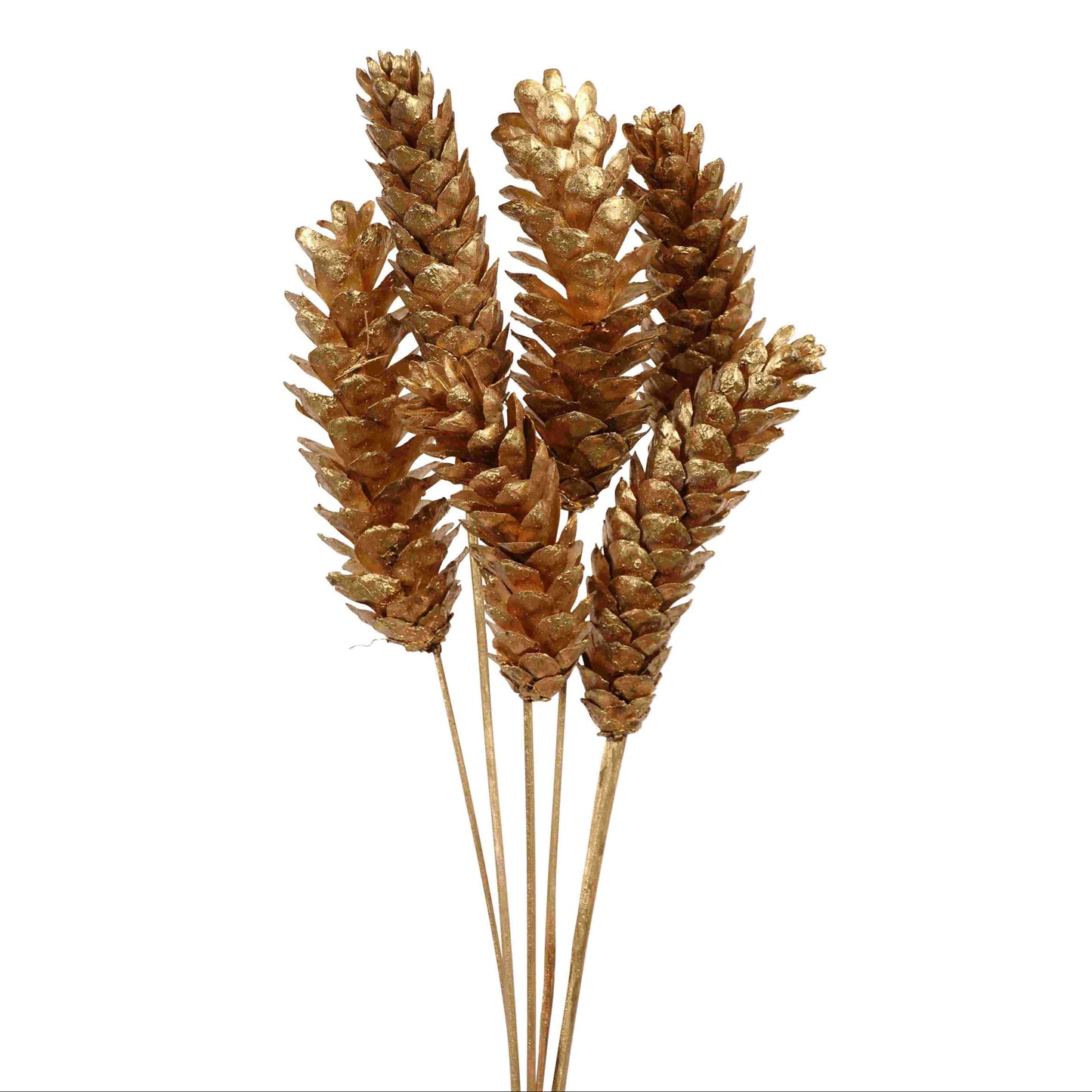 pine cones strobus - 6 stem - copper metallic