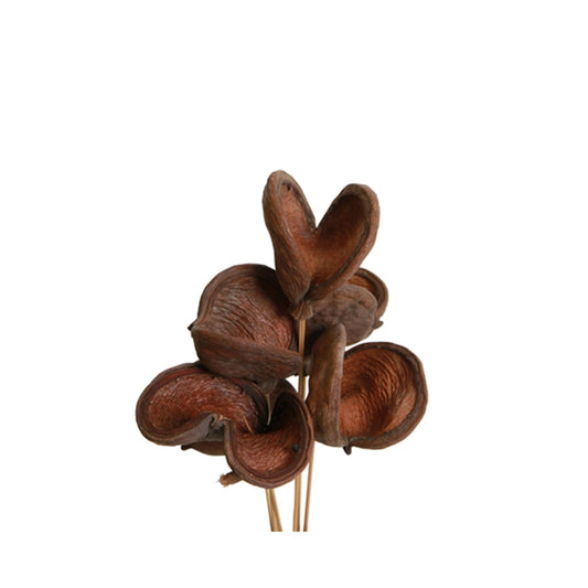 badam - stem - natural - bulk 150/case