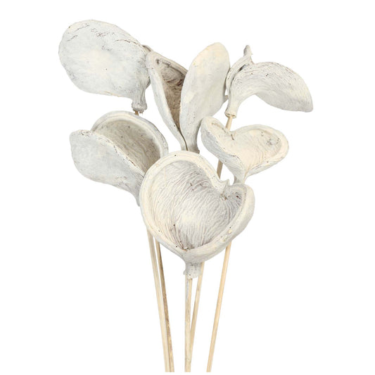 badam - stem - white wash - bulk - 150/case