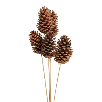 pine cones large 10-15cm (6 stem) natural