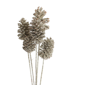 pine cones large - 6 stem - champagne glitter